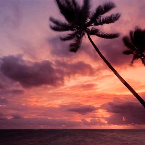 木子暖阳潇亿囡