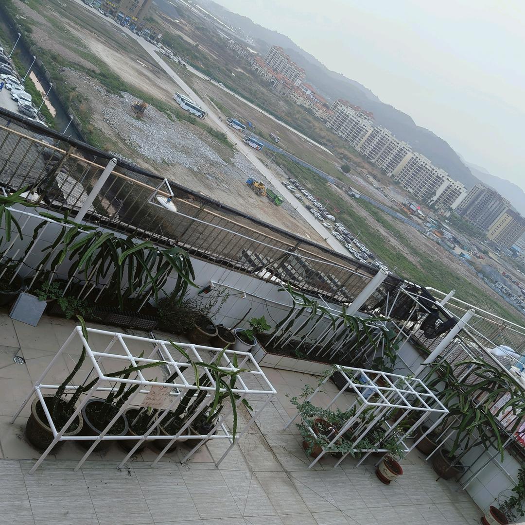 小.陈