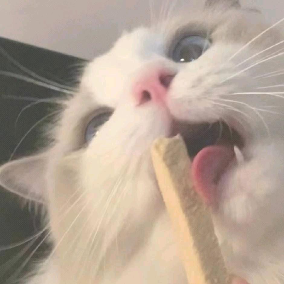 寂焰