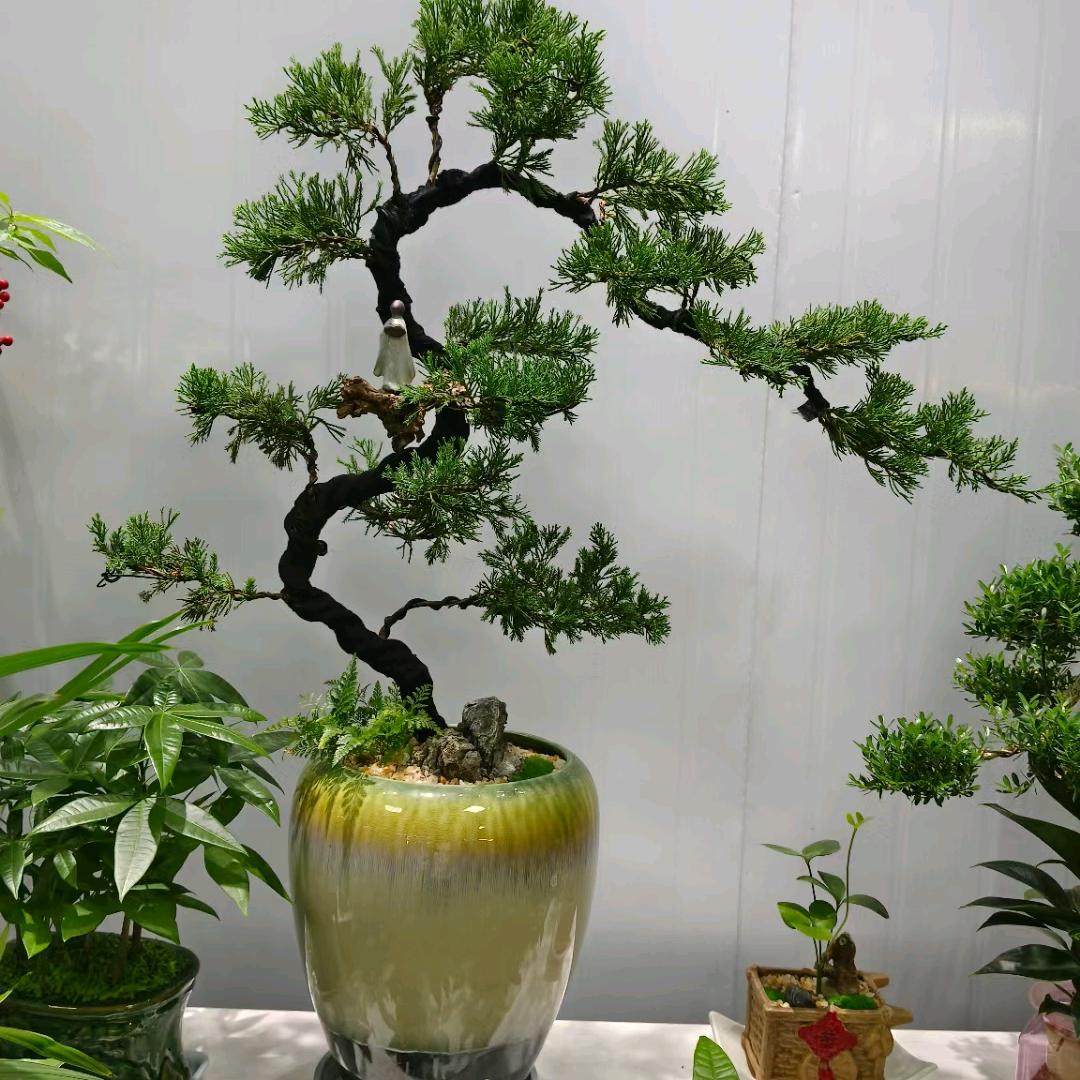 ꧁᭄静好♥如初 ✿꧂