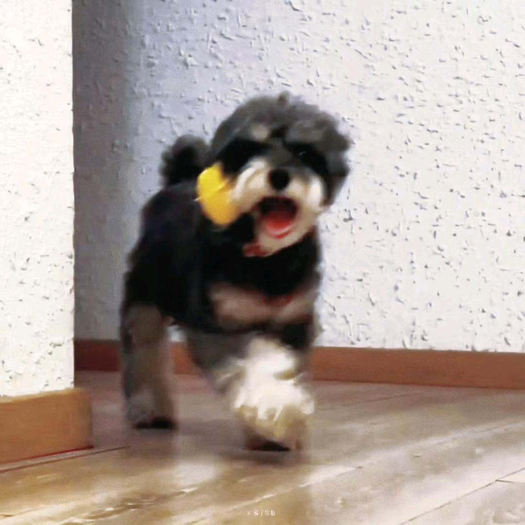阿诺