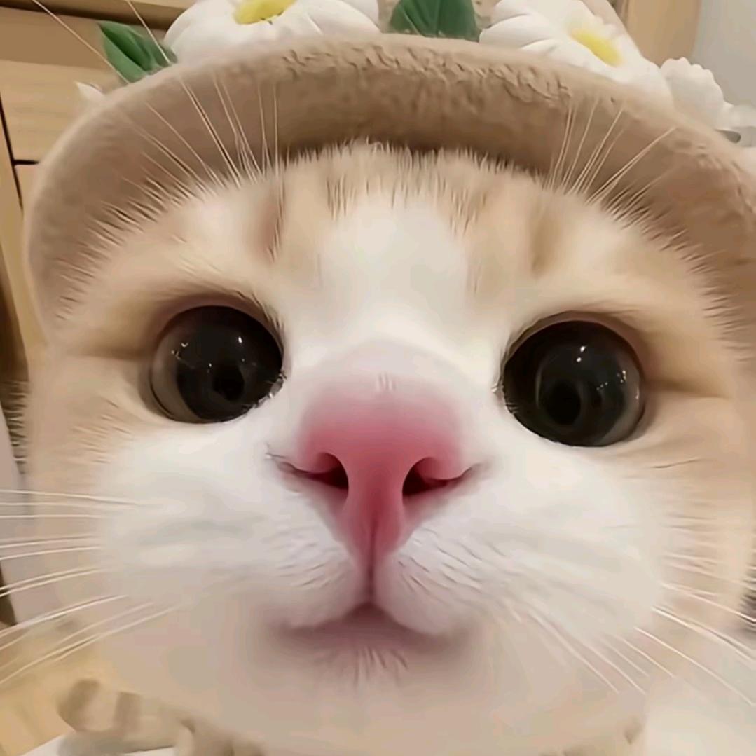 对方正在输入.....