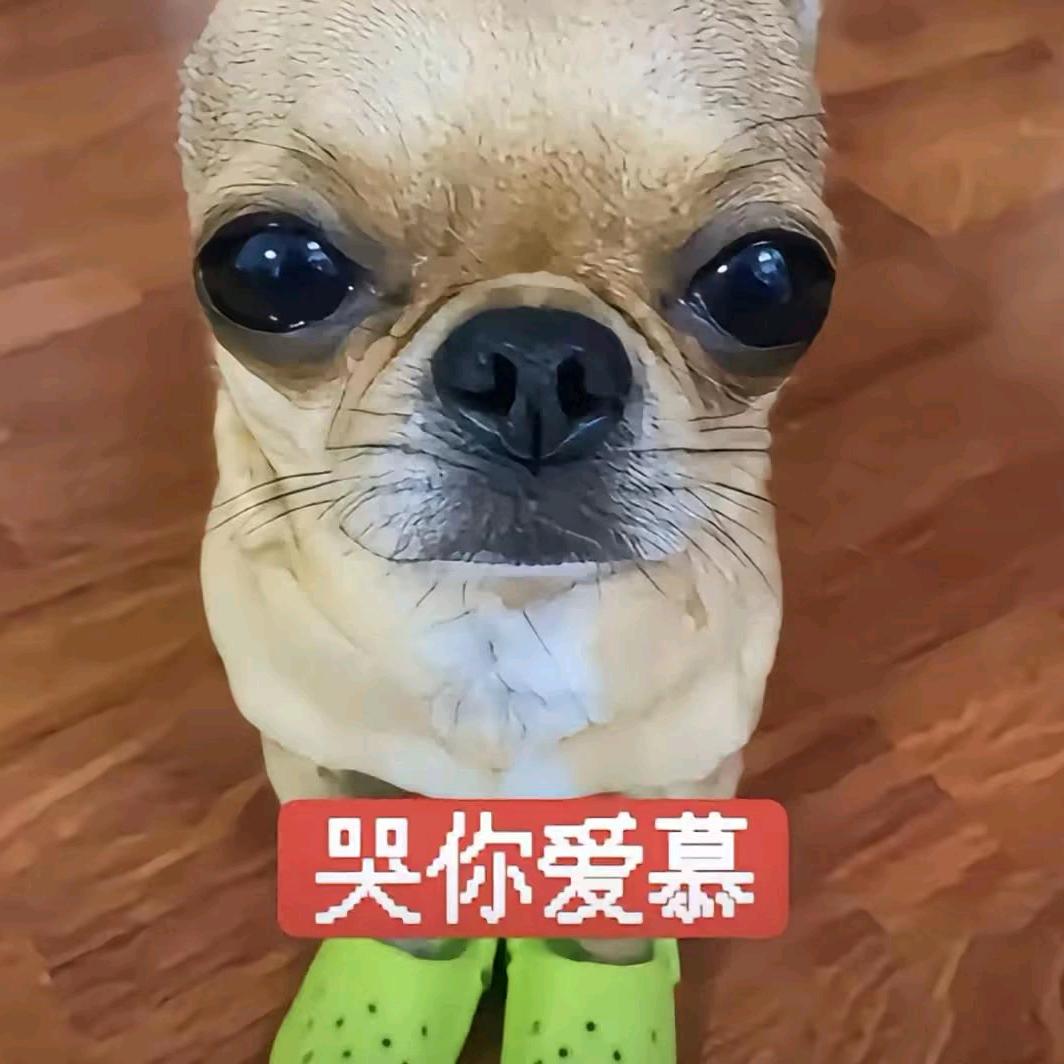 萌混过关