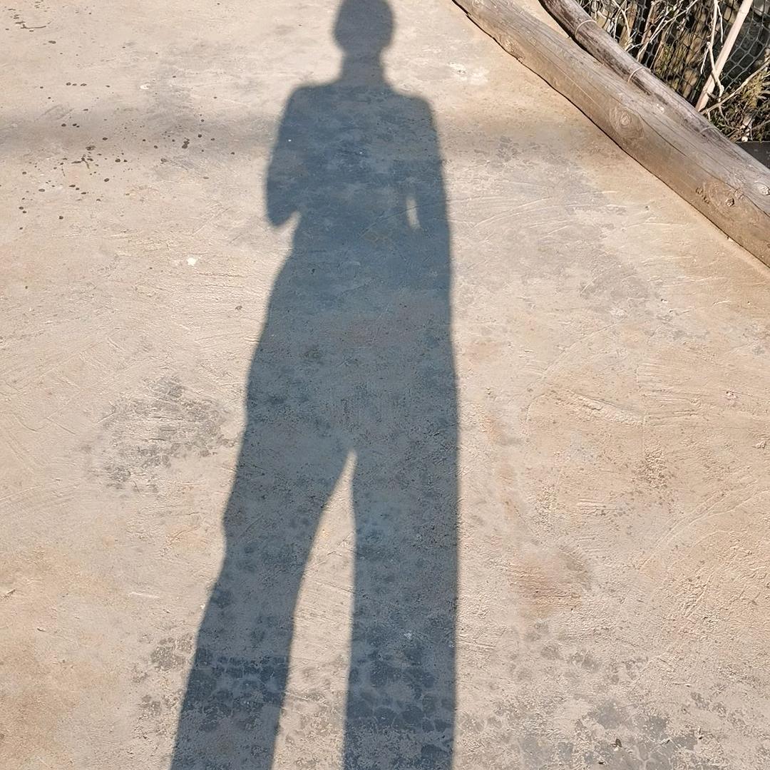 颖姐姐日常