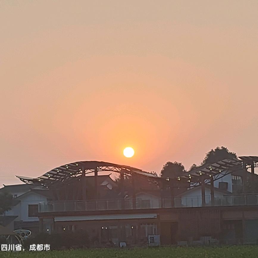 雁归来