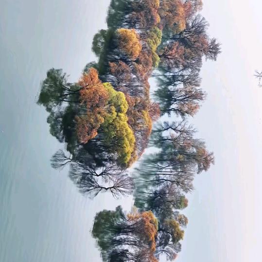 ╭(╯酒舍一盏茶☞