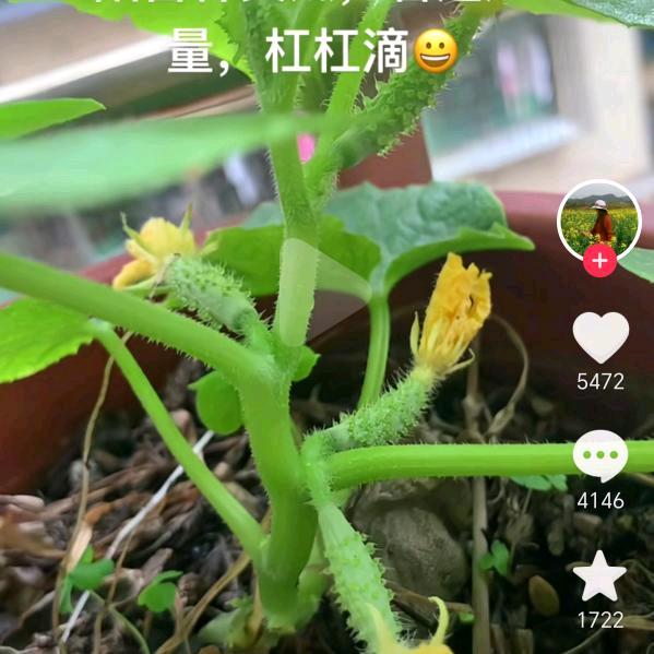 张姐