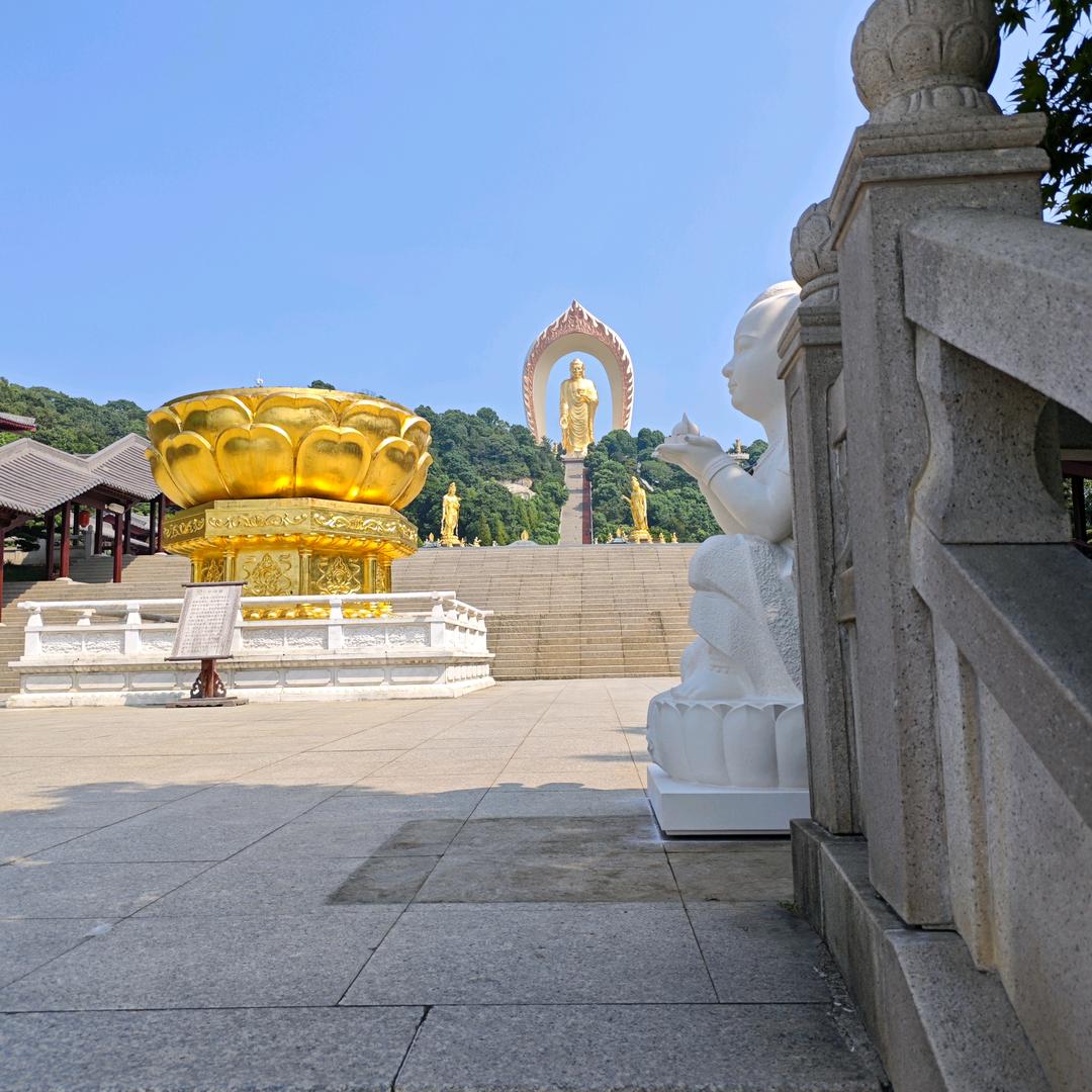 努力奋斗