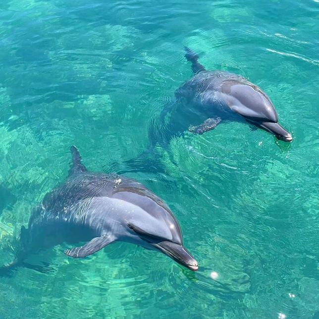 小小悦的百货店