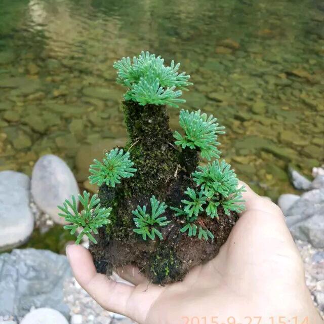 金钱降万物