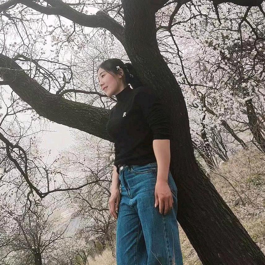 @心愿 .✨