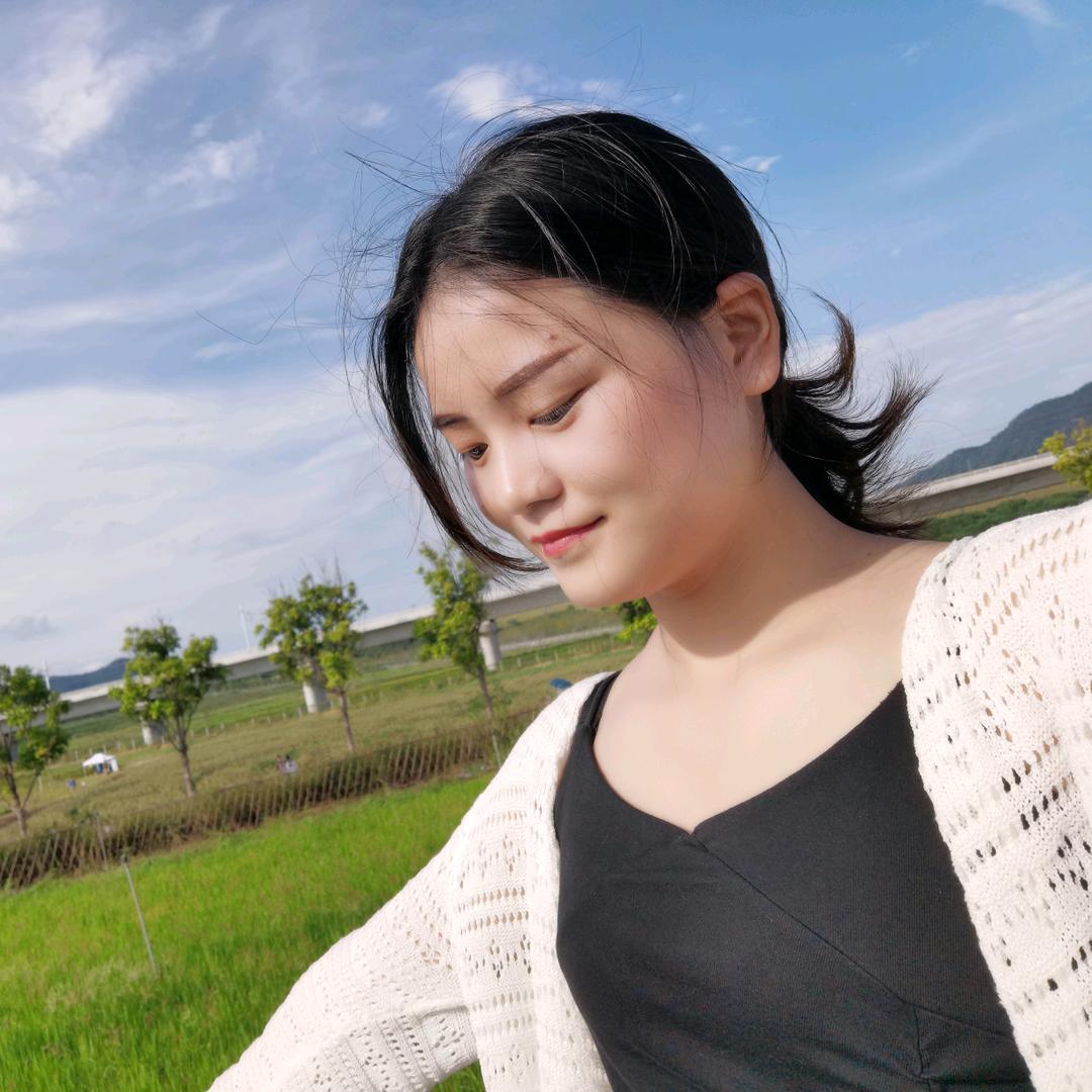 元宝（努力版）