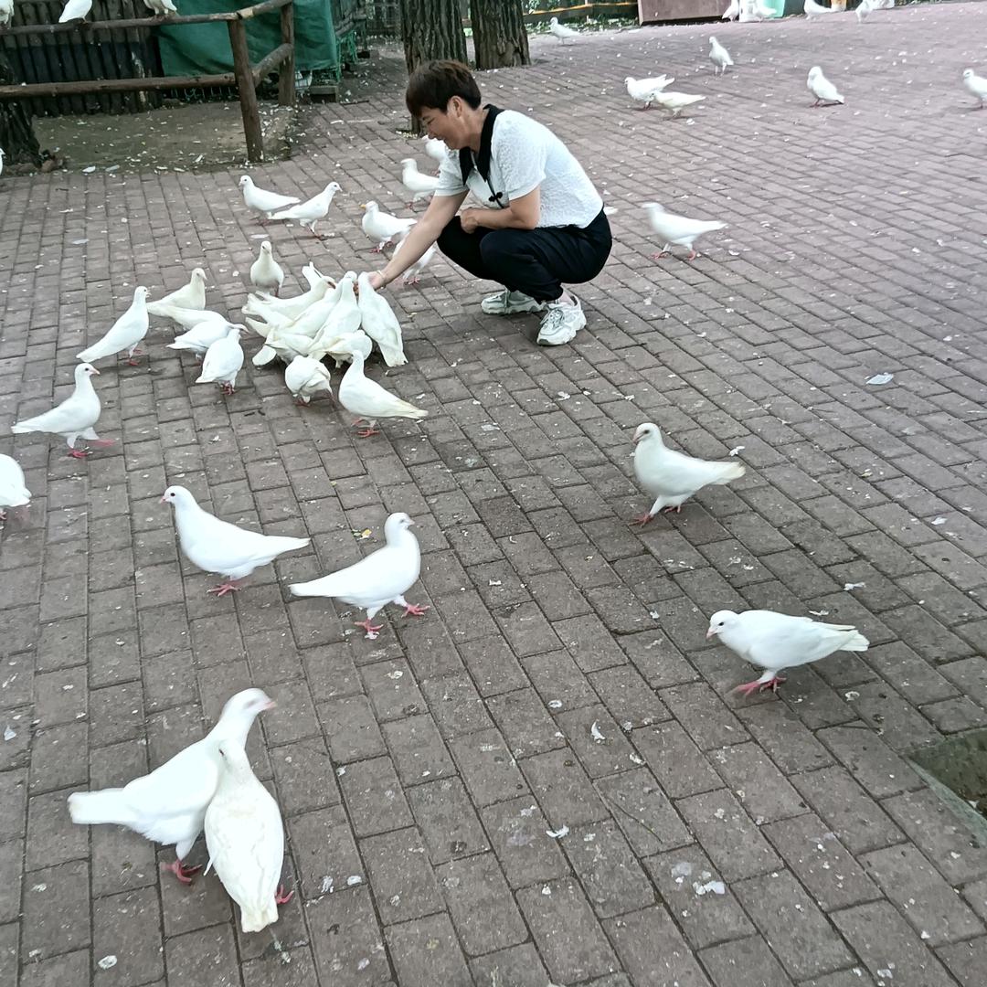 王子豪