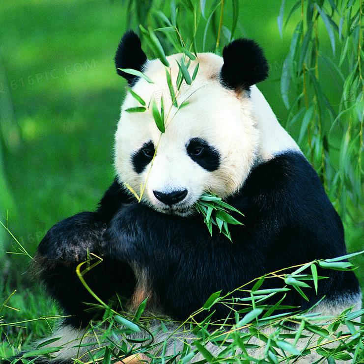 新之源硒鼓墨盒