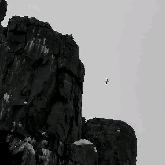 昰個怪人.