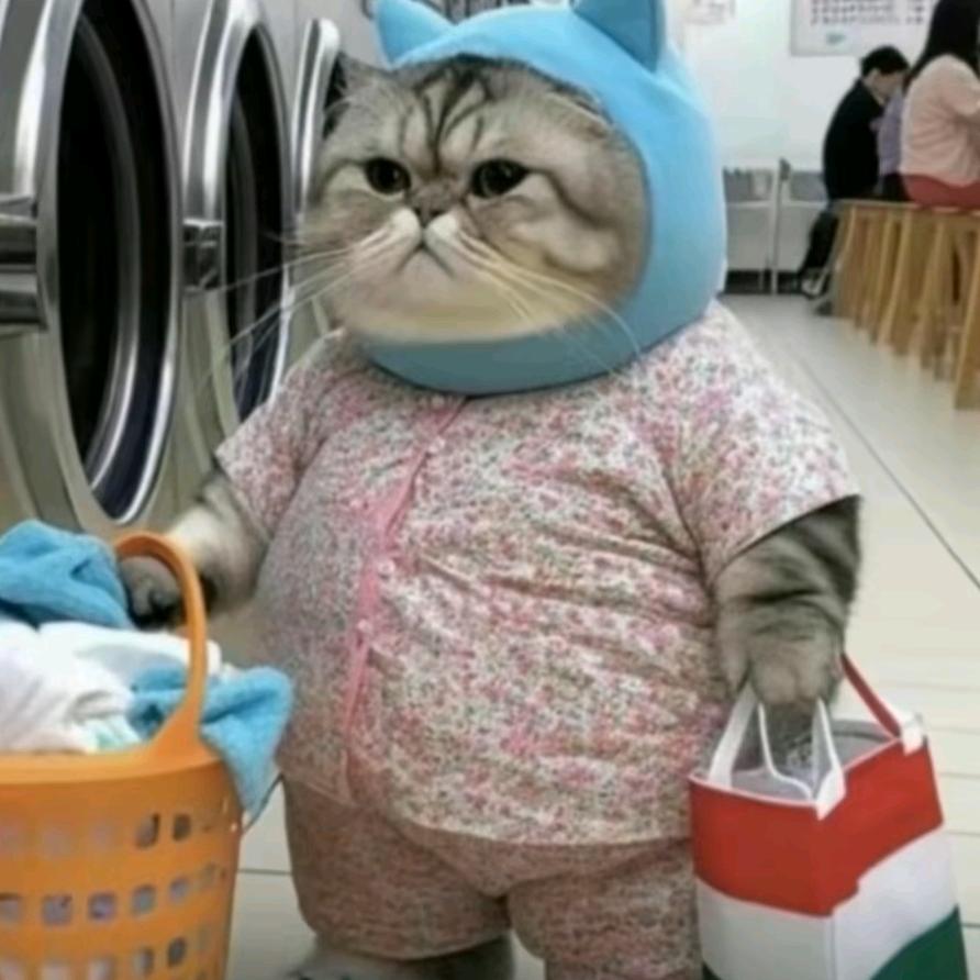 山兜小何在创狗