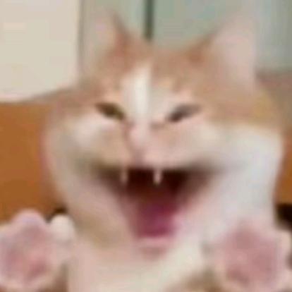 雾渊海
