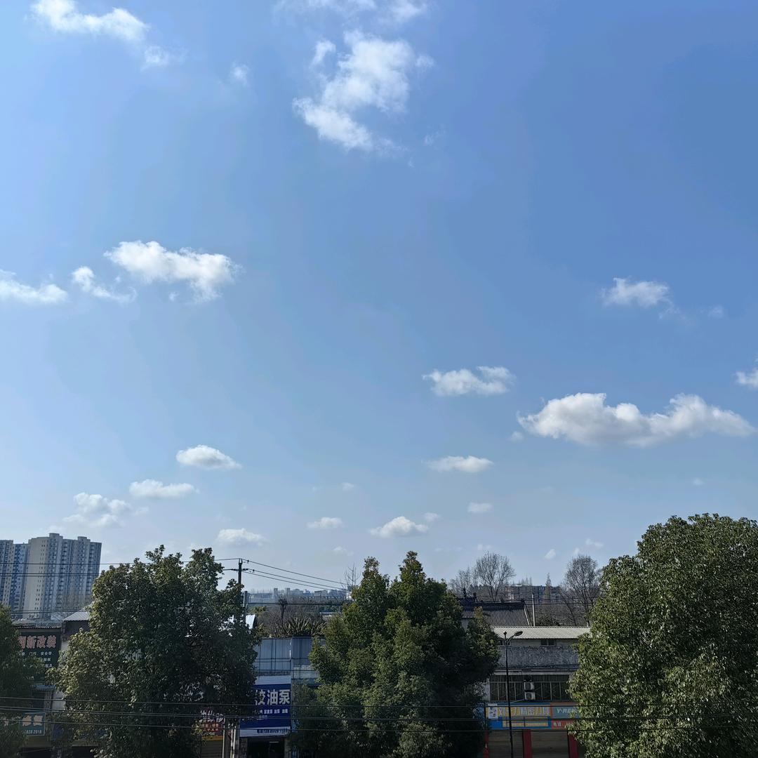 悲喜自渡