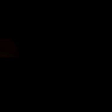 毅