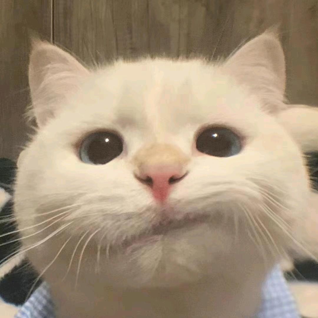 小艺园艺量天尺