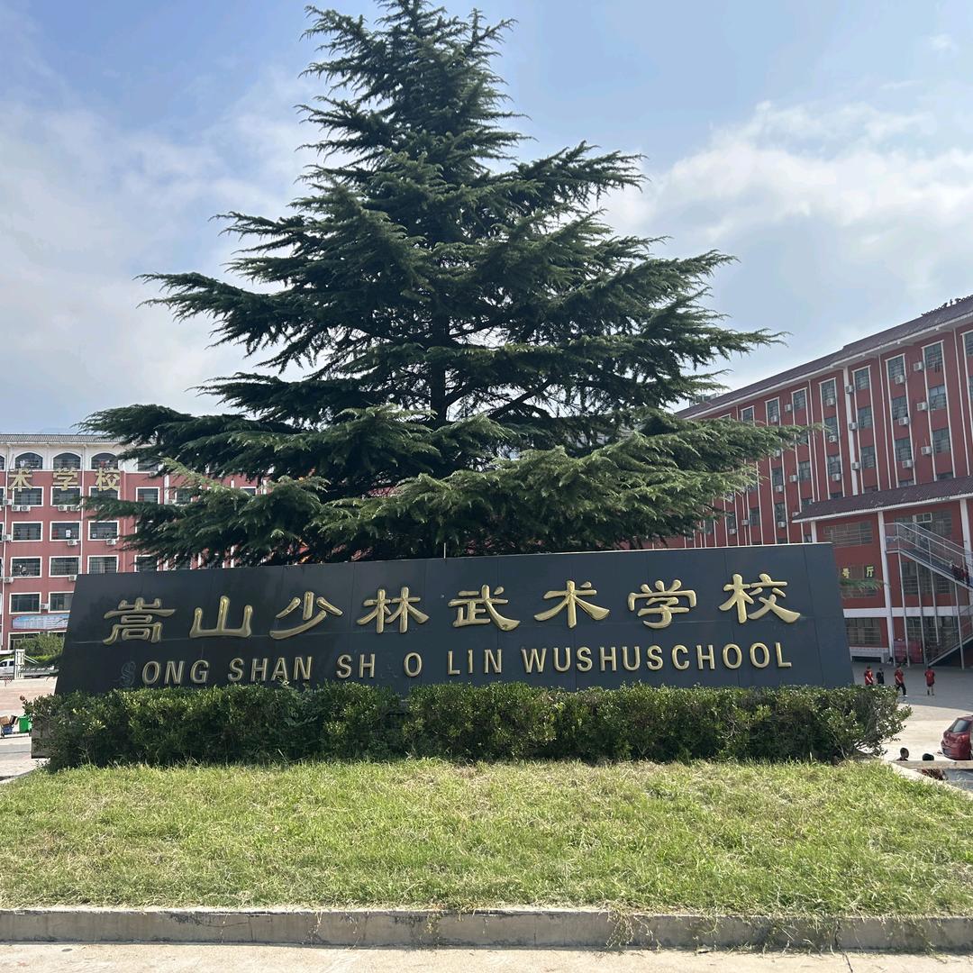 嵩山少林武校.
