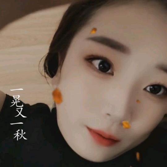 罗——小姐