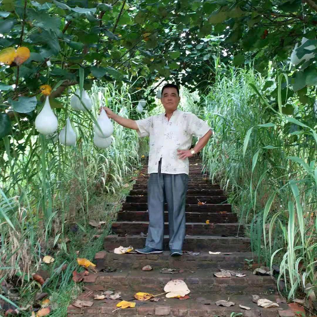周平老人