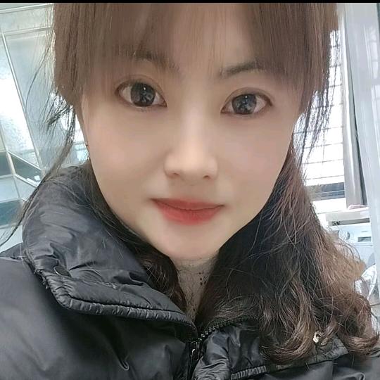 小燕子（橱窗好物）