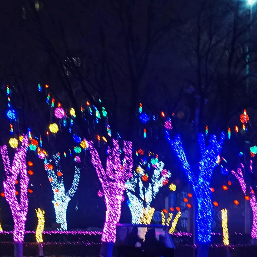 程家大少爷！！