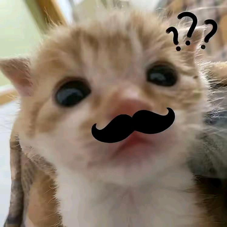 vv
