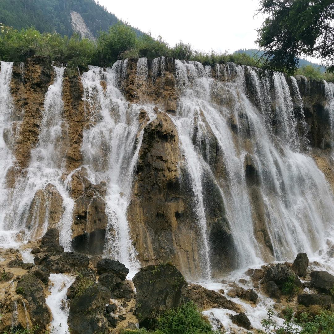 旅行青蛙