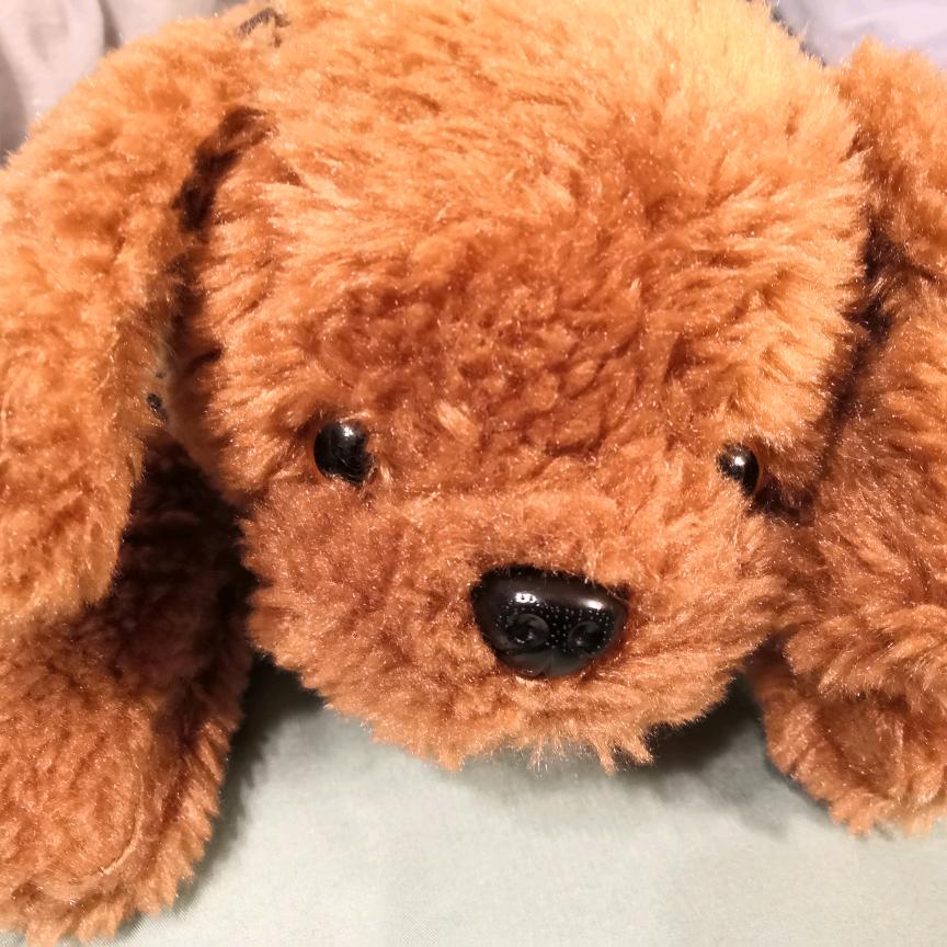 窝窝囊囊的窝囊废