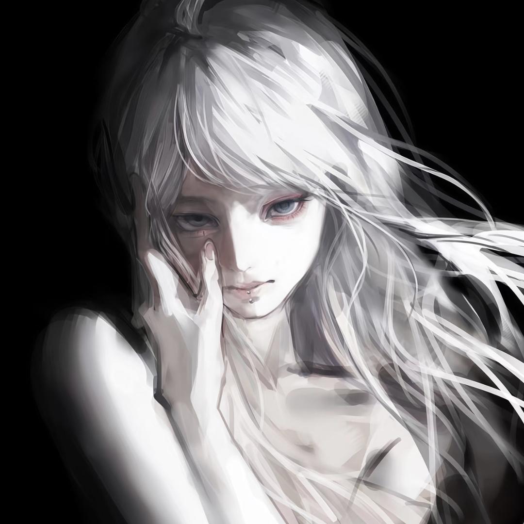 楠希布偶猫舍🎀（小猫蹲家）