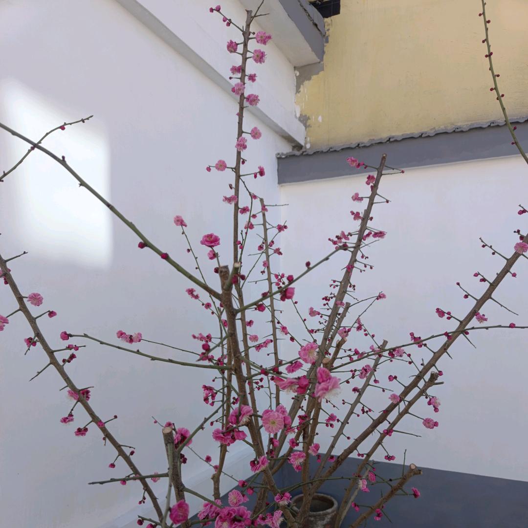 老梁