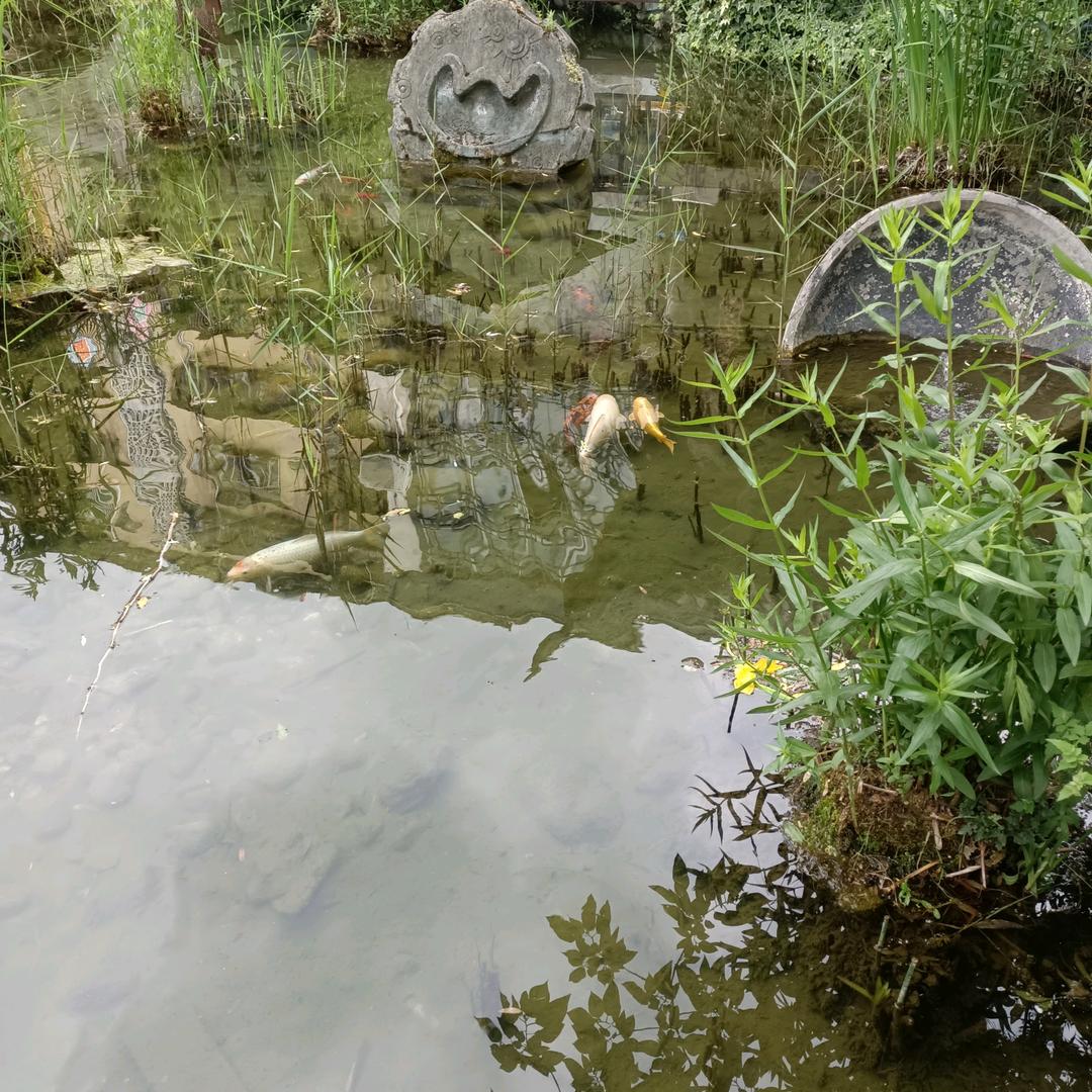 秋天的风