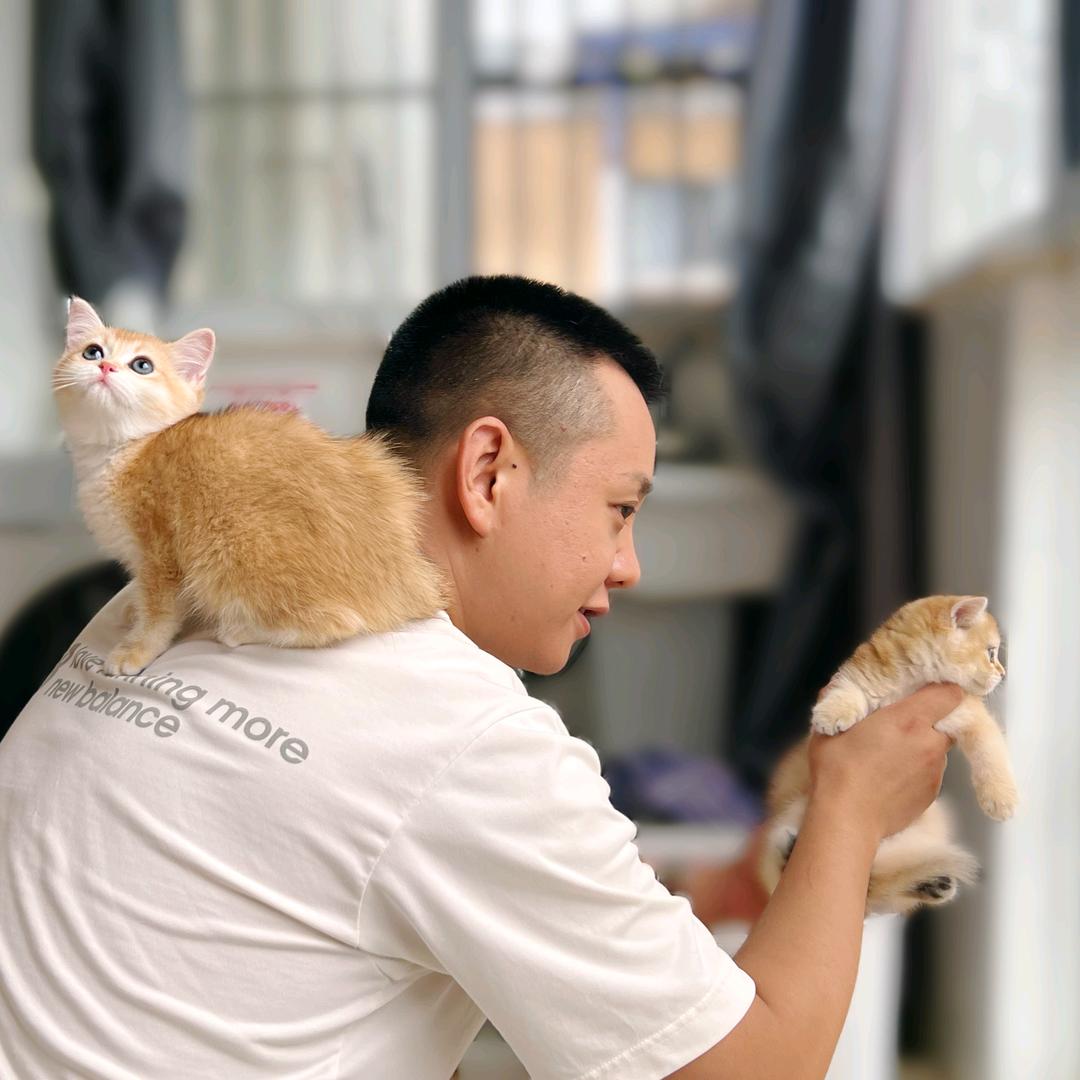 如东宠它宠物店（个体工商户）
