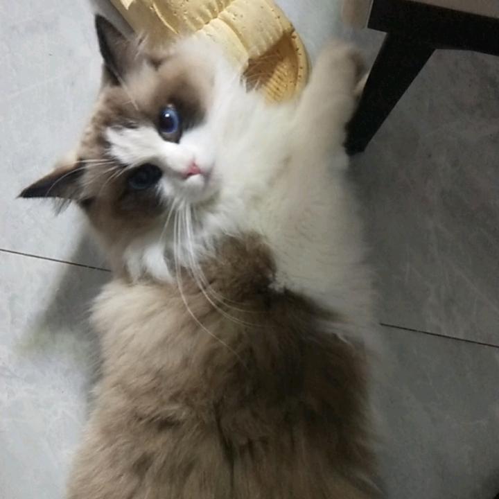 ༺㞮孞❦㜂孞༻