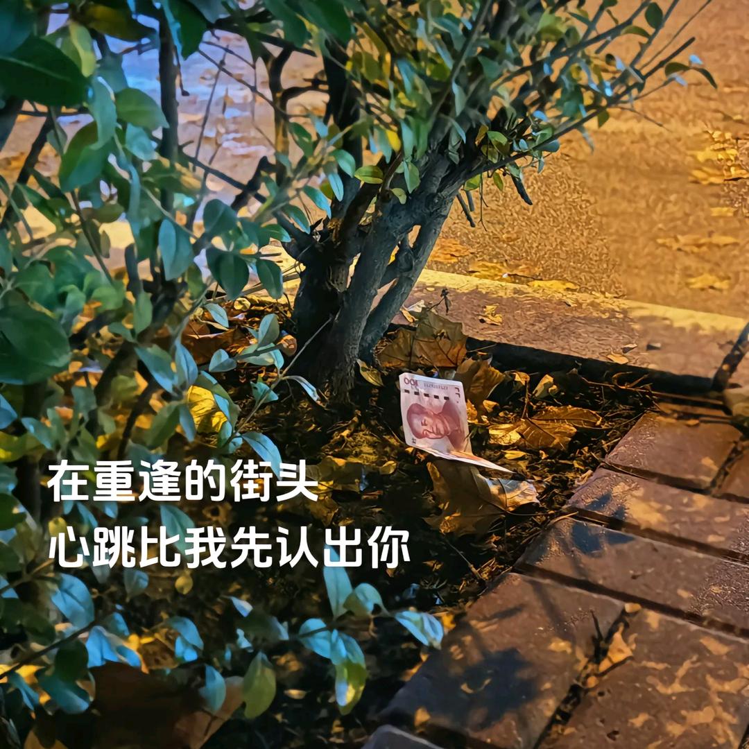 寻找风的痕迹