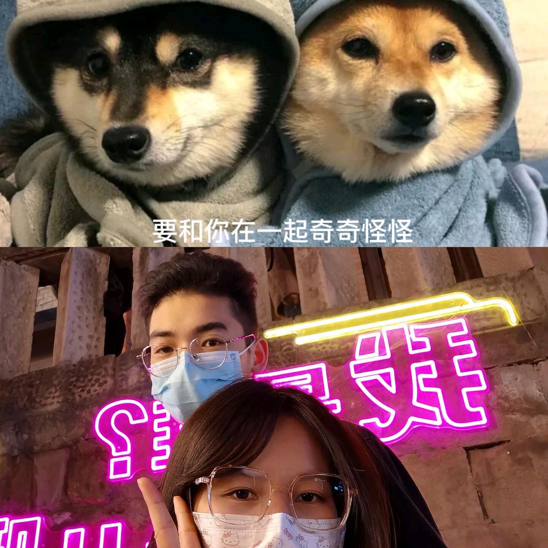 社恐小狮