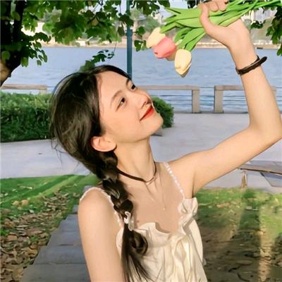 酸奶布丁