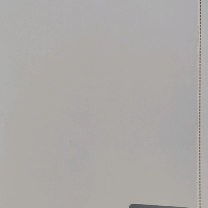 暖阳