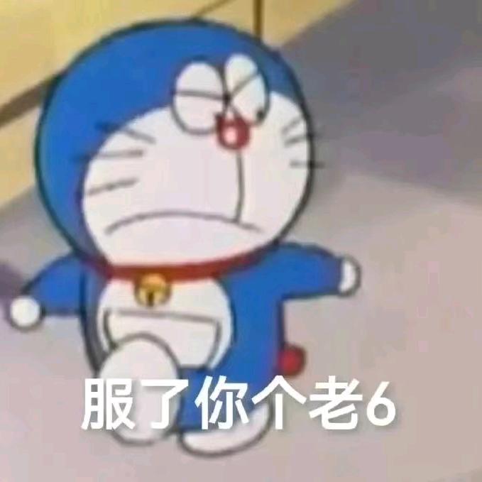 养森小哥