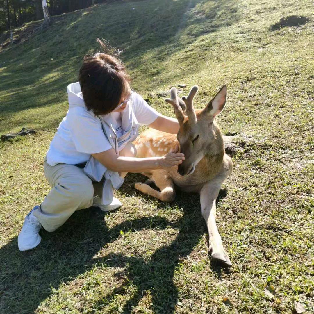 贤闲