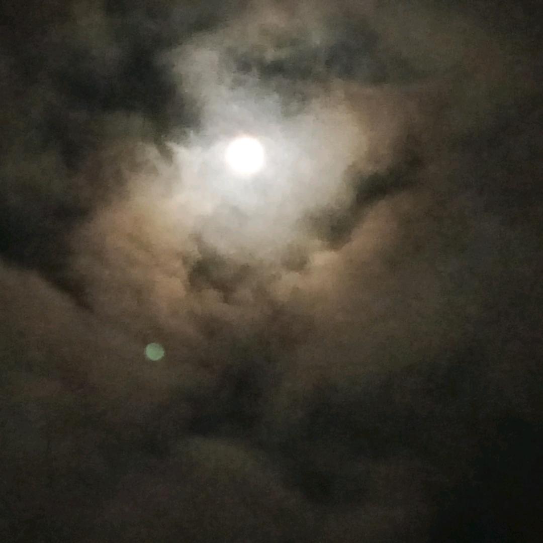 天涯(づ╭❤～独行客