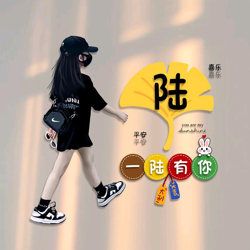 一陆有你
