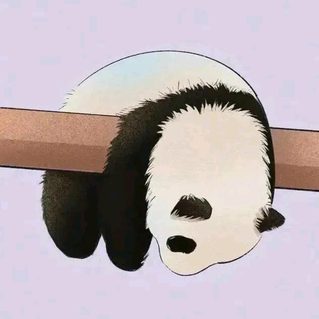 去码头整点薯条