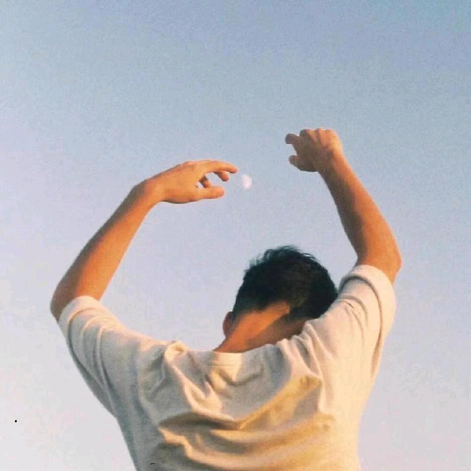 贺知书