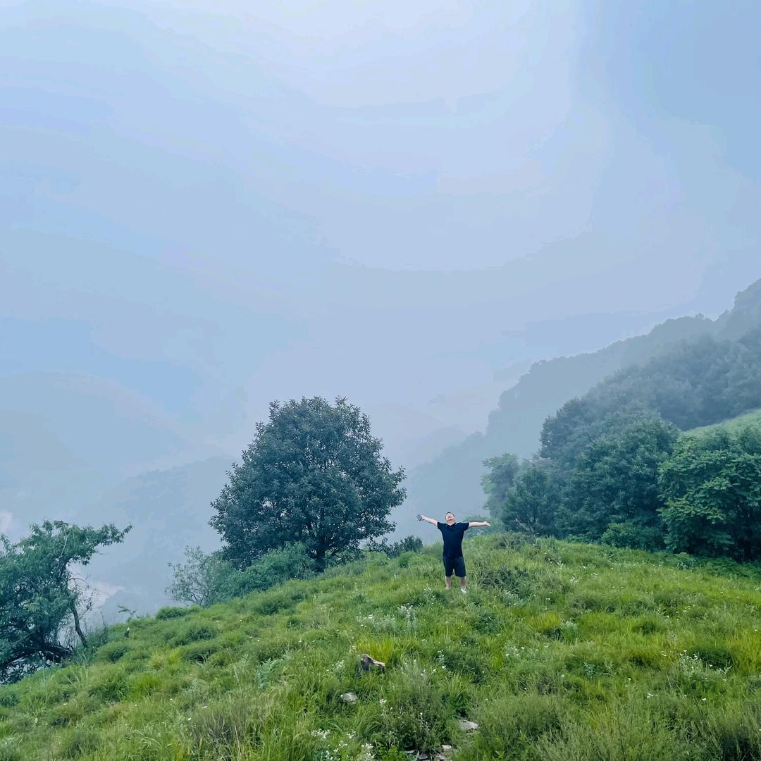 高山刘水