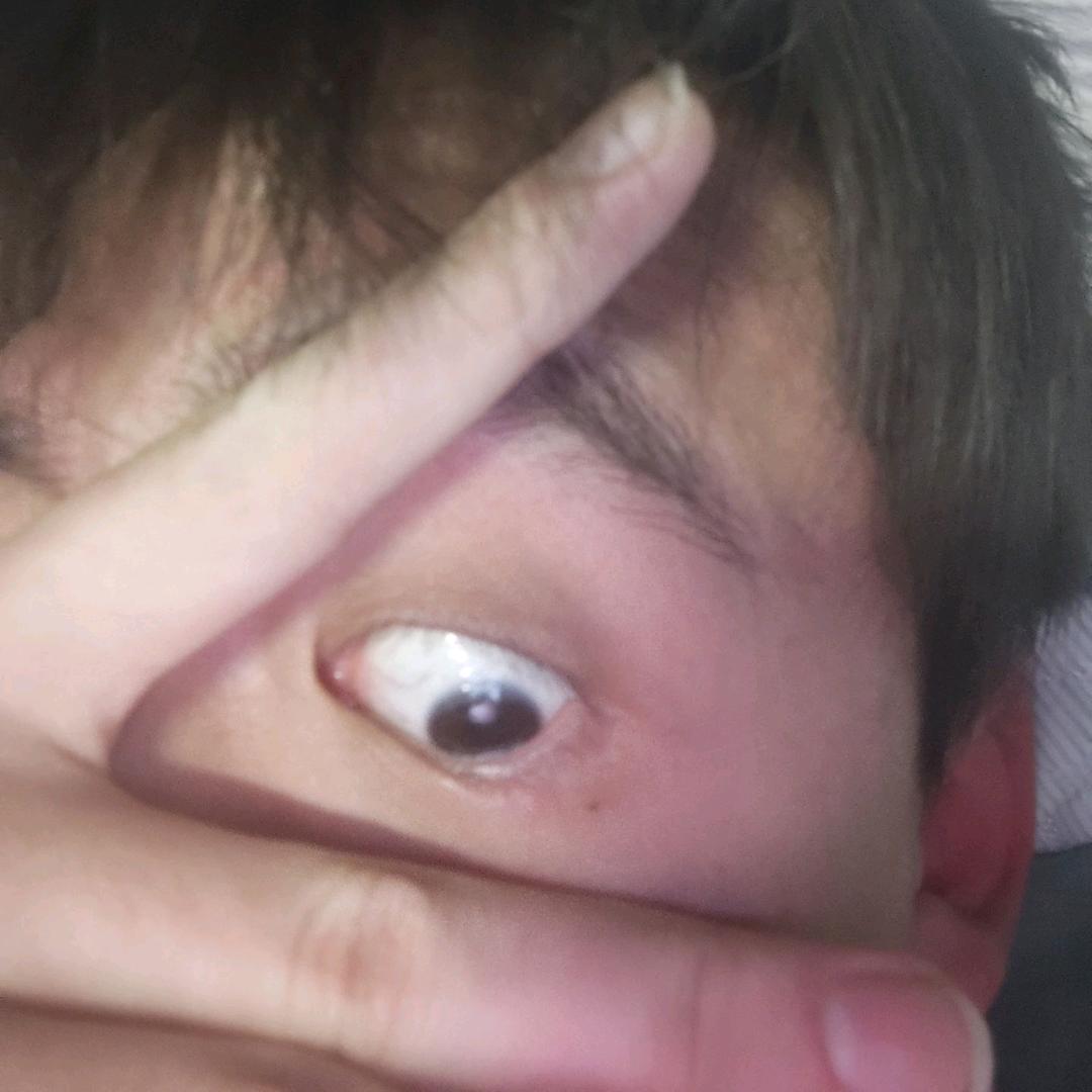 世上最不闹麻之人