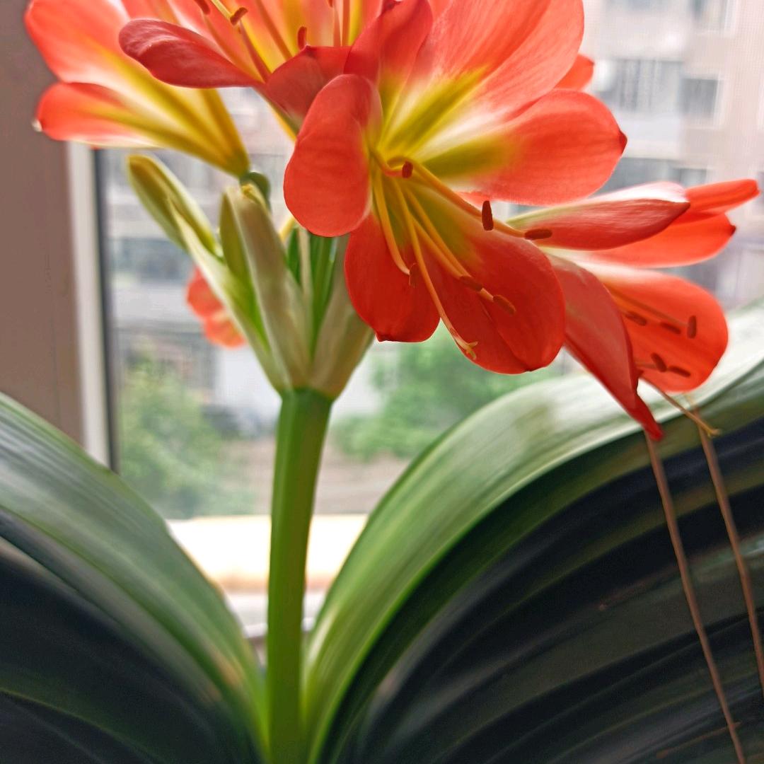 健康平安快乐丁希成